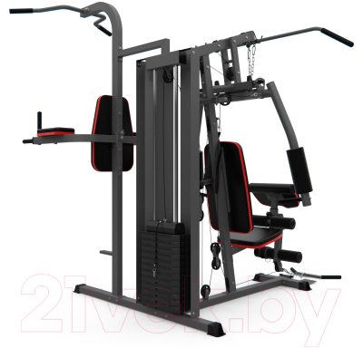 Силовой тренажер DFC D7004