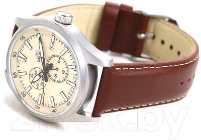 Часы наручные мужские Orient RA-AK0405Y