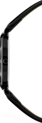 Часы наручные мужские Orient RA-AK0405Y