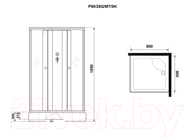 Душевая кабина Niagara Promo P90/26Q/MT/BK 90x90x195