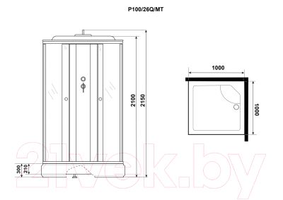 Душевая кабина Niagara Promo P100/26Q/MT 100x100x215