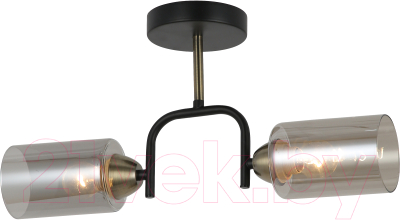 Потолочный светильник Mirastyle MD-8140/2 BK+ABR - фото