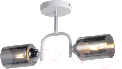 Потолочный светильник Mirastyle MD-8140/2 WH+CR - фото