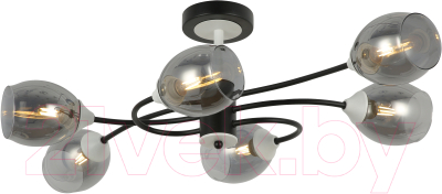 Потолочный светильник Mirastyle MD-8156/6 BK+WH - фото