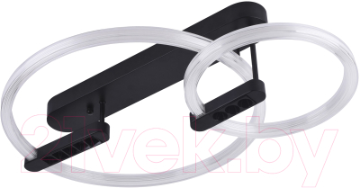 Потолочный светильник LED4U L1022-660 - фото