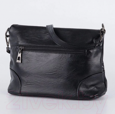 Сумка Passo Avanti 536-5020-BLK (черный)