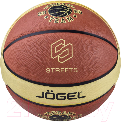 Баскетбольный мяч Jogel Streets Dream Team / BC21