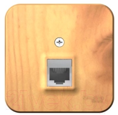 Розетка Schneider Electric Blanca BLNIA011005 - фото