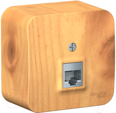 Розетка Schneider Electric Blanca BLNIA011005