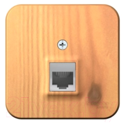 Розетка Schneider Electric Blanca BLNIA045005 - фото