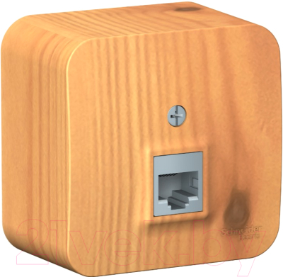 Розетка Schneider Electric Blanca BLNIA045005