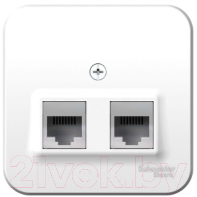 Розетка Schneider Electric Blanca BLNIA045111 - фото