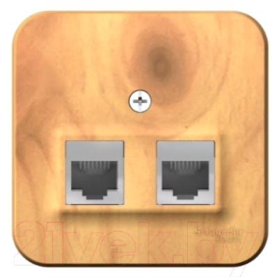 Розетка Schneider Electric Blanca BLNIA045115 - фото