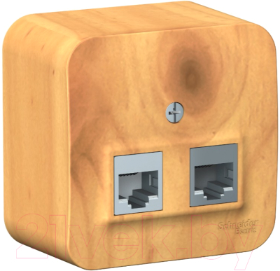 Розетка Schneider Electric Blanca BLNIA045115