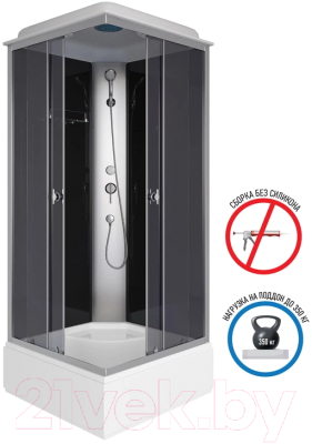 Душевая кабина Niagara Eco E90/26Q/TN 90x90x215