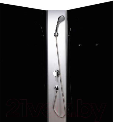 Душевая кабина Niagara Eco E90/26Q/TN/BK 90x90x195