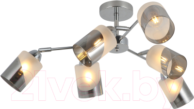 Потолочный светильник Mirastyle MD-8225/6 CR - фото