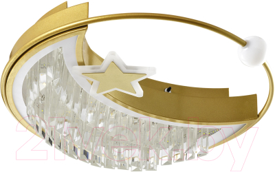 Потолочный светильник LED4U L8024-450 GD - фото