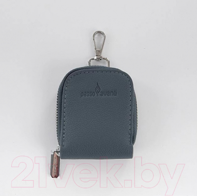 Сумка Passo Avanti 877-663-802-DBL (синий)