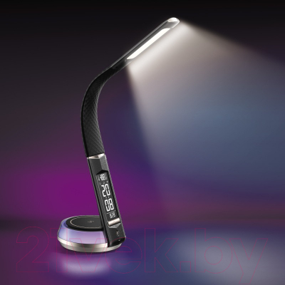 Настольная лампа Dendy 540-DL Black Swan+RGB