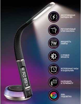 Настольная лампа Dendy 540-DL Black Swan+RGB