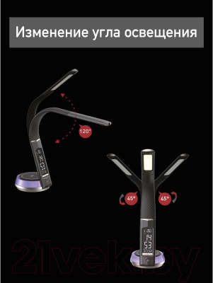 Настольная лампа Dendy 540-DL Black Swan+RGB