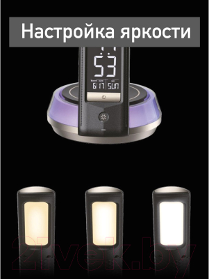 Настольная лампа Dendy 540-DL Black Swan+RGB