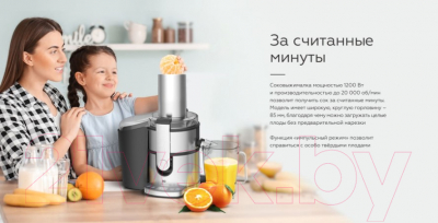 Соковыжималка электрическая BQ J1007