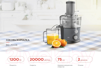 Соковыжималка электрическая BQ J1008 (серый/черный)