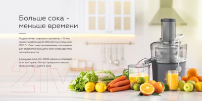 Соковыжималка электрическая BQ J1008 (серый/черный)