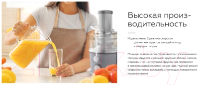 Соковыжималка электрическая BQ J1008 (серый/черный)