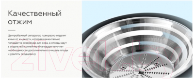 Соковыжималка электрическая BQ J1008 (серый/черный)