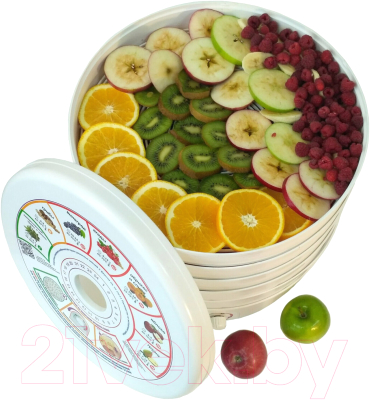 Сушилка для овощей и фруктов Славда DVN37-500/5