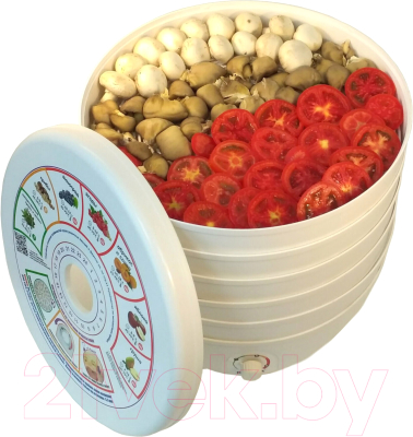 Сушилка для овощей и фруктов Славда DVN37-500/5