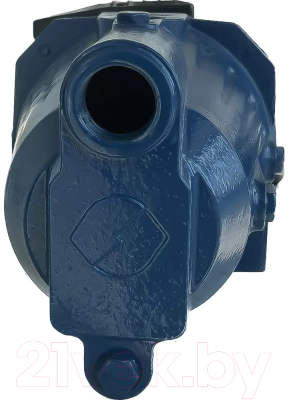 Поверхностный насос Maxpump JSW 900D