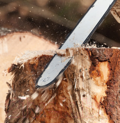 Электропила цепная Oasis ES-16 Eco