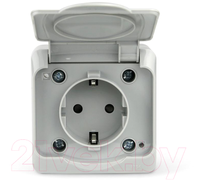 Розетка Tokov Electric TKE-NX-R1Z-C06-IP54