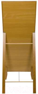 Зеркало Мебелик BeautyStyle 29