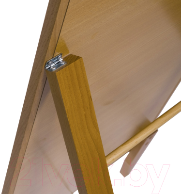 Зеркало Мебелик BeautyStyle 29