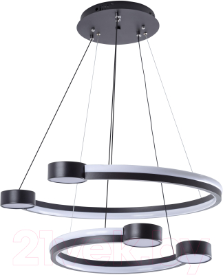 Потолочный светильник LED4U L7100-2 BK - фото