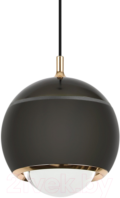 Потолочный светильник LED4U L8753-1 BK - фото