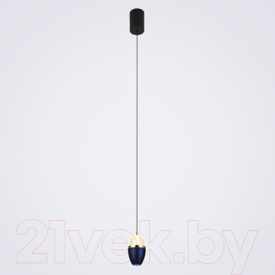 Потолочный светильник LED4U L8754-1 BL