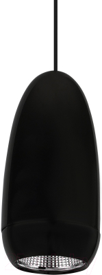 Потолочный светильник LED4U L8756-1 BK - фото