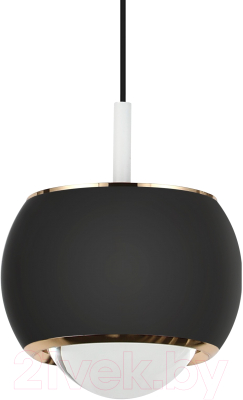 Потолочный светильник LED4U L8757-1 BK - фото