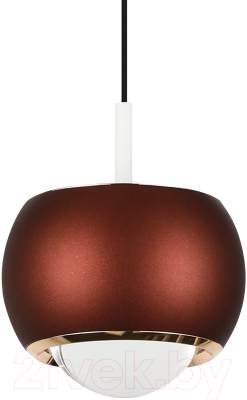 Потолочный светильник LED4U L8757-1 BR - фото