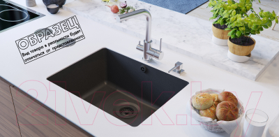 Мойка кухонная Aquasanita Arca SQA102W (металлик)