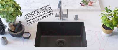 Мойка кухонная Aquasanita Arca SQA102W (металлик)