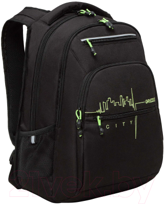 Рюкзак Grizzly RU-431-2 - фото