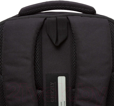 Школьный рюкзак Grizzly RU-432-1