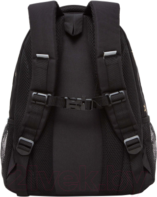 Школьный рюкзак Grizzly RG-462-2